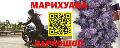 стаф Бугуруслан